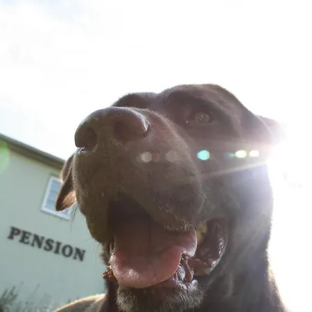 Otel Landhauspension Rank Bad Berka