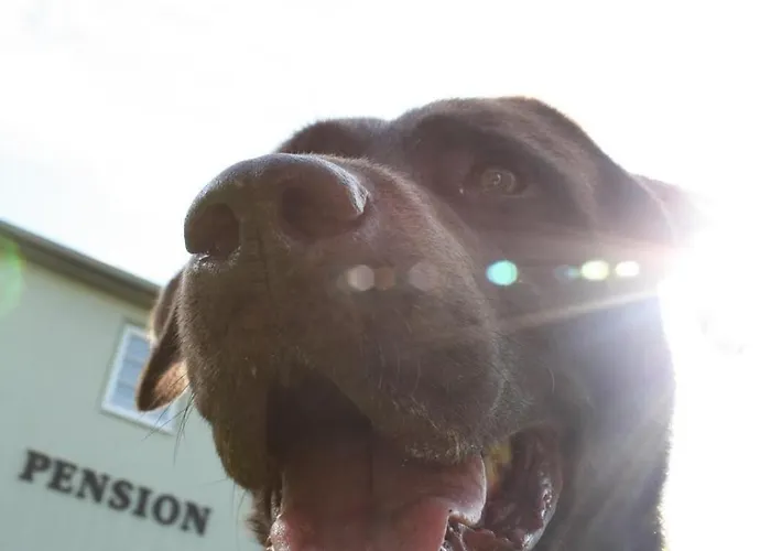 Hotel Landhauspension Rank Bad Berka