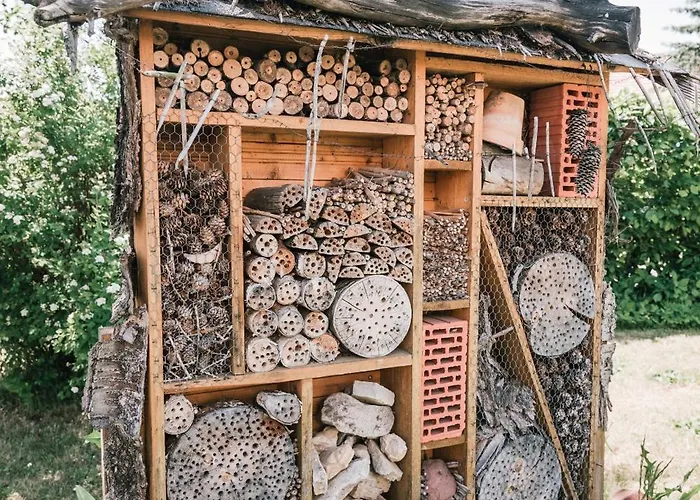 Landhauspension Rank 3*